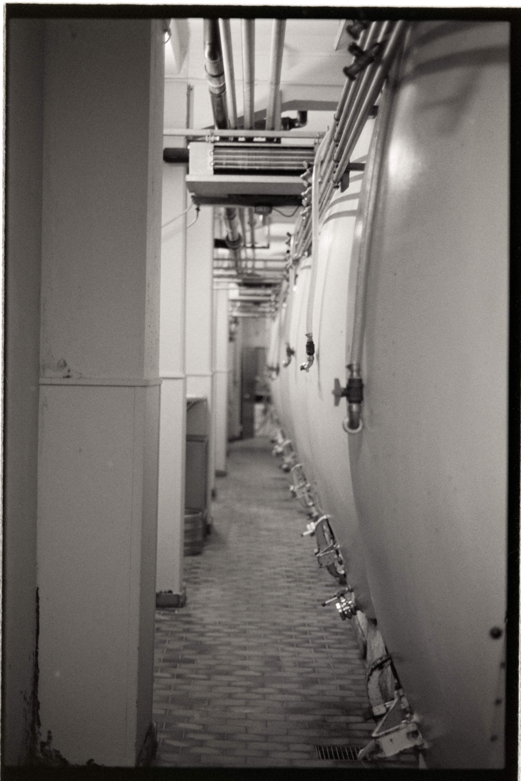 AHP FilmScan 240731 0764